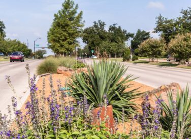 plants and flowers on road median for North Colony Boulevard